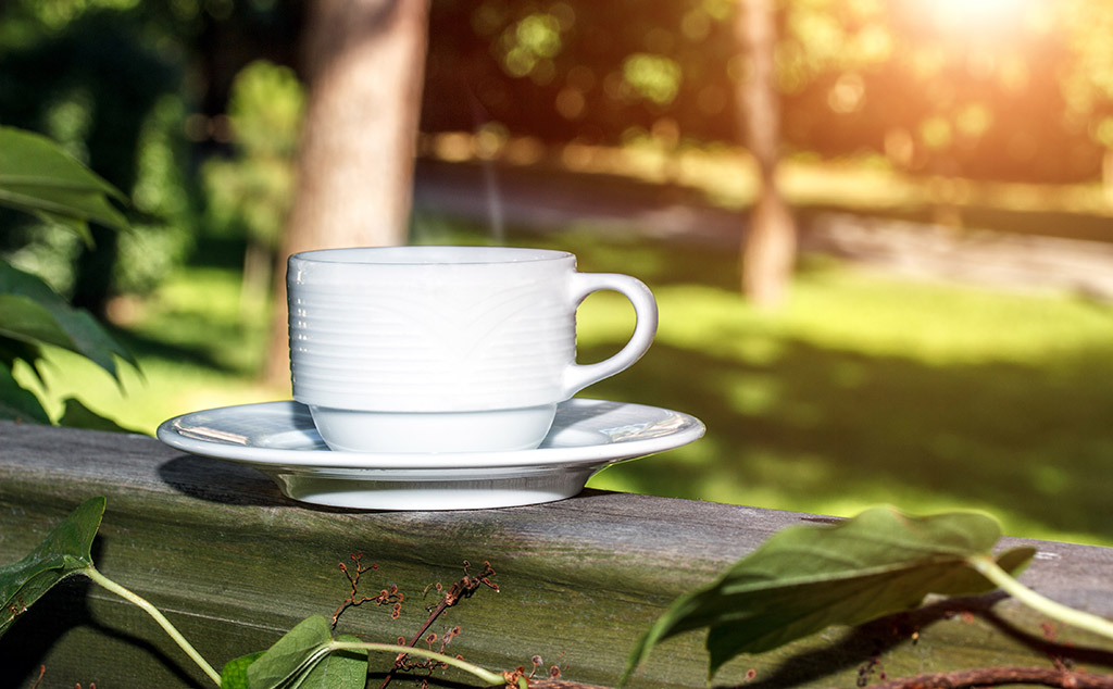 Rural Massage Early Bird Premium Massage and Breakfast